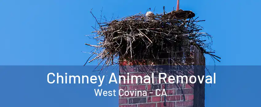 Chimney Animal Removal West Covina - CA