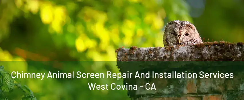 Chimney Animal Screen Repair And Installation Services West Covina - CA