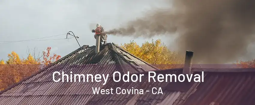 Chimney Odor Removal West Covina - CA